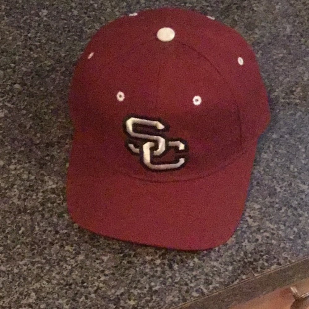 South Carolina gamecocks